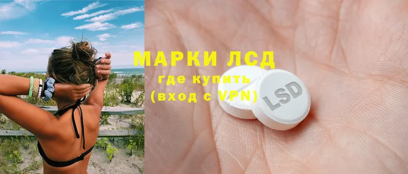 как найти закладки  Александров  ЛСД экстази ecstasy 